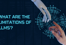 What are the limitations of LLMs? 17 LLMS